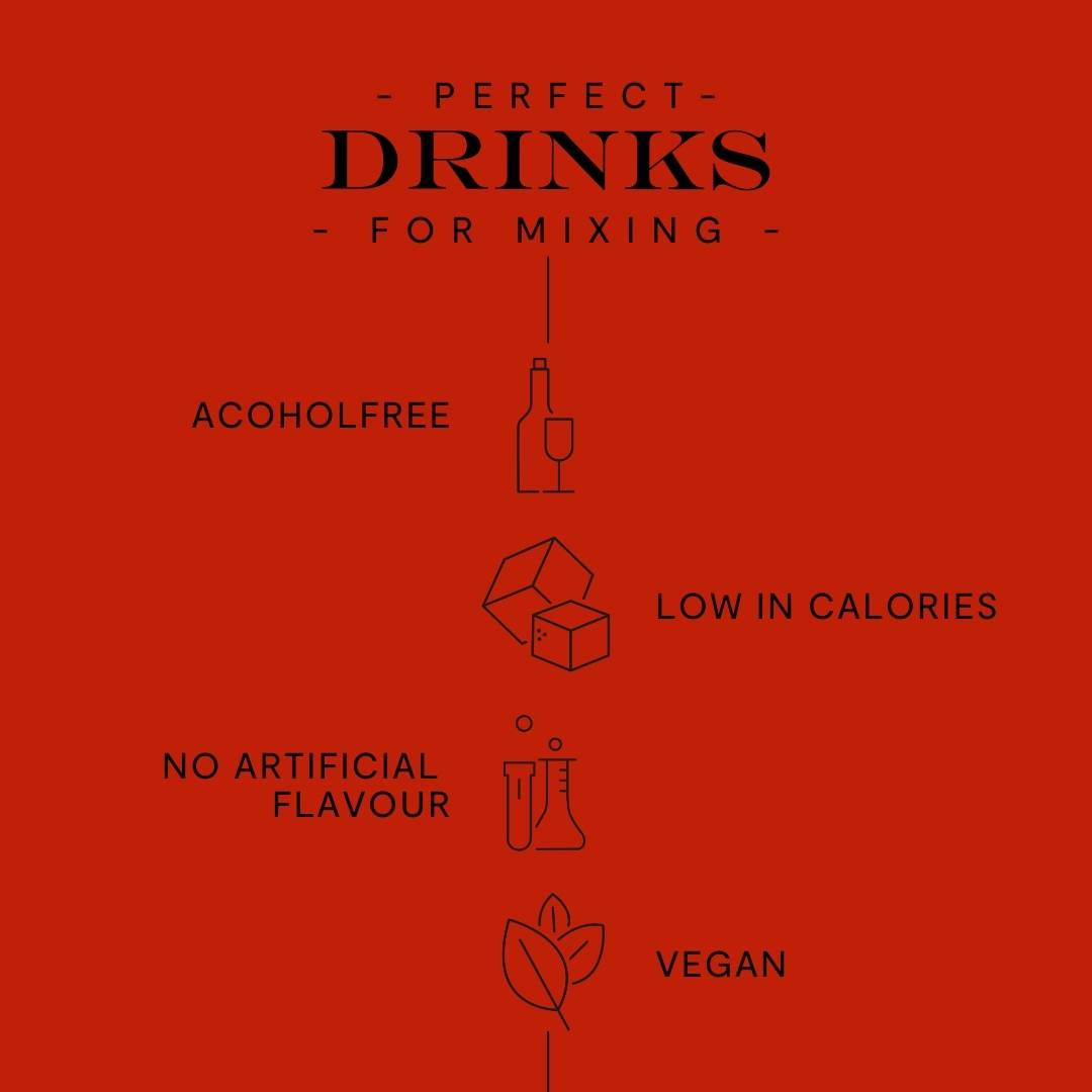 6er Set - RUBY NO 4 - GLITZER SPRITZ (0,5L) - VORTEILSSET