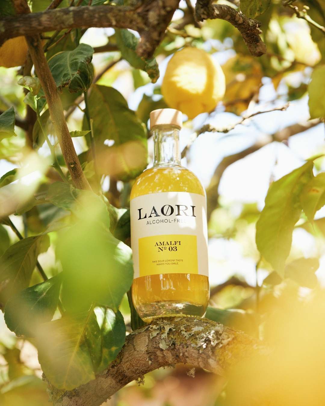 Set de degustación de purpurina navideña Deluxe: las 7 variedades laori